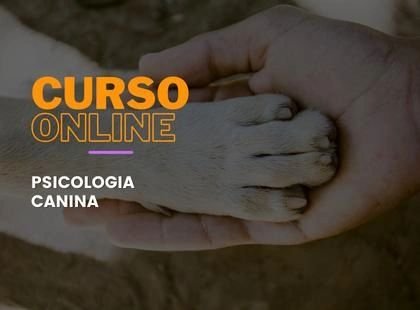 Psicologia Canina