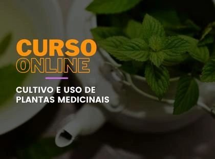 Cultivo e Uso de Plantas Medicinais